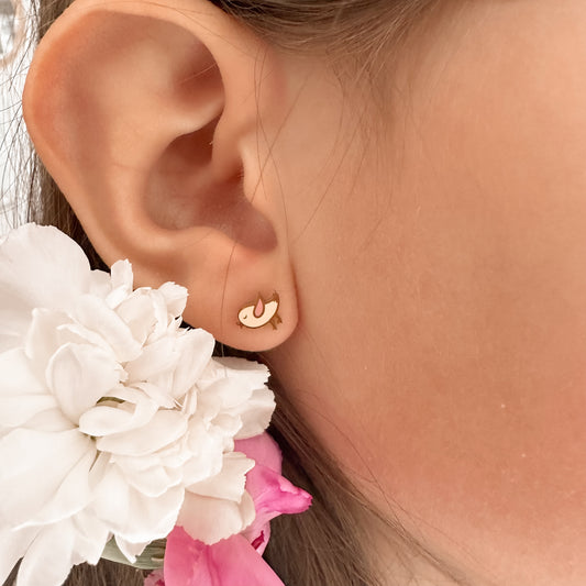 Little chick Screwbacks