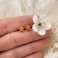 Starfish Screwbacks Lise's Pieces